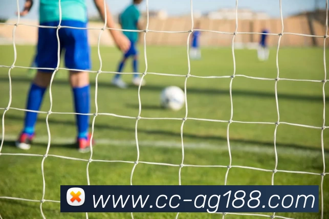 AG亚游APP 封面图